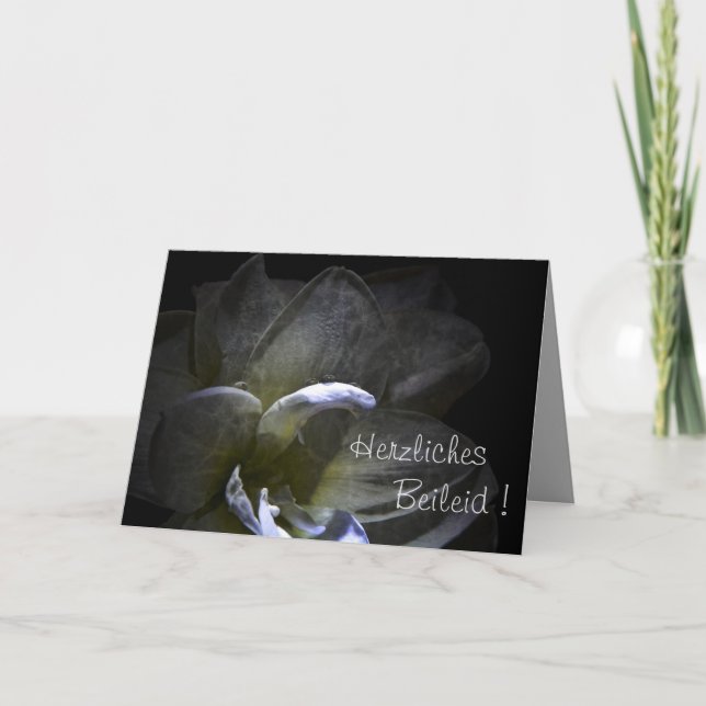 Carte Condoléances ! Fleur d'Amaryllis   ... (Devant)