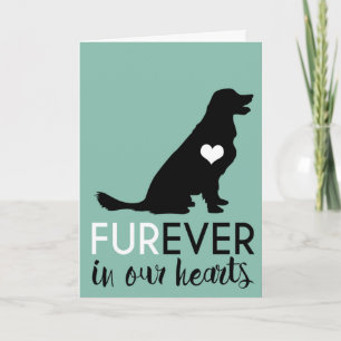 Carte Condolence de chien animal   Furever Dans Nos Coeu