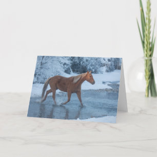 Carte Conduite de chevaux en hiver au Hideout Ranc