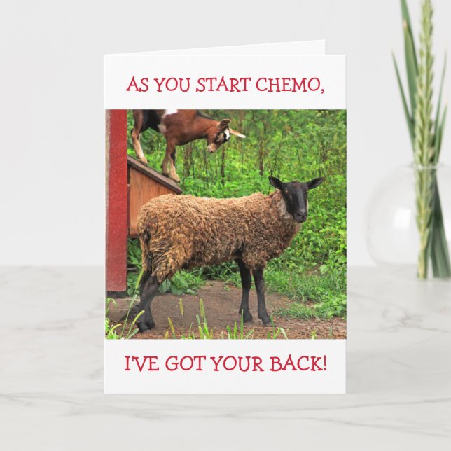 Carte Confort Chèvre Et Mouton Chemo (Devant)