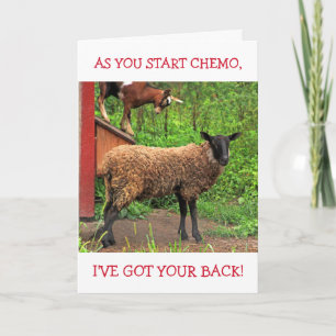 Carte Confort Chèvre Et Mouton Chemo