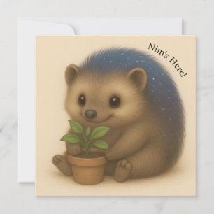 Carte Confort Personnalisable Nim Gardens