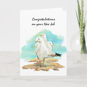 Carte Congratulation New Job From Gang Seagulls, birds