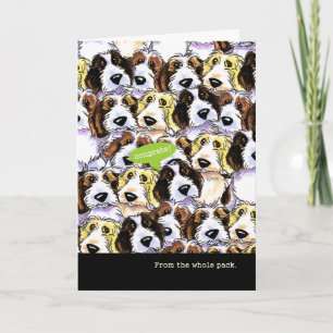 Carte Congratulations from Group Funny PBGV Dogs
