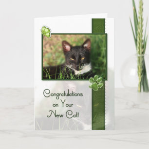 Carte Congratulations on Your New Cat