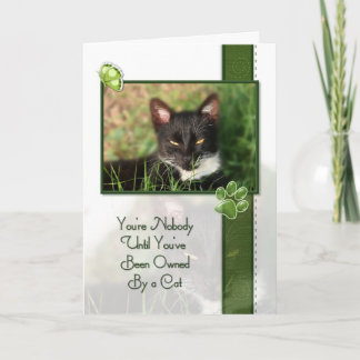 Carte Congratulations on Your New Cat Quote