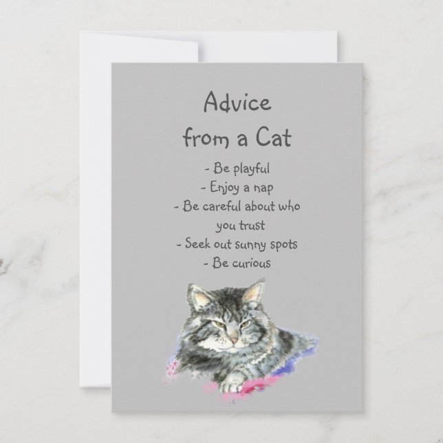 Carte Conseil amusant d'un Humour animal amusant chats (Devant)