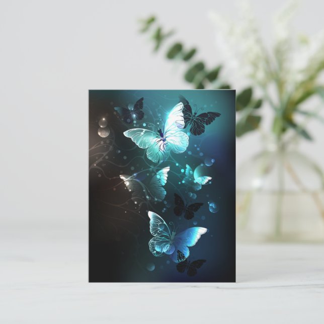 Carte Conseil Papillons de nuit (Debout devant)