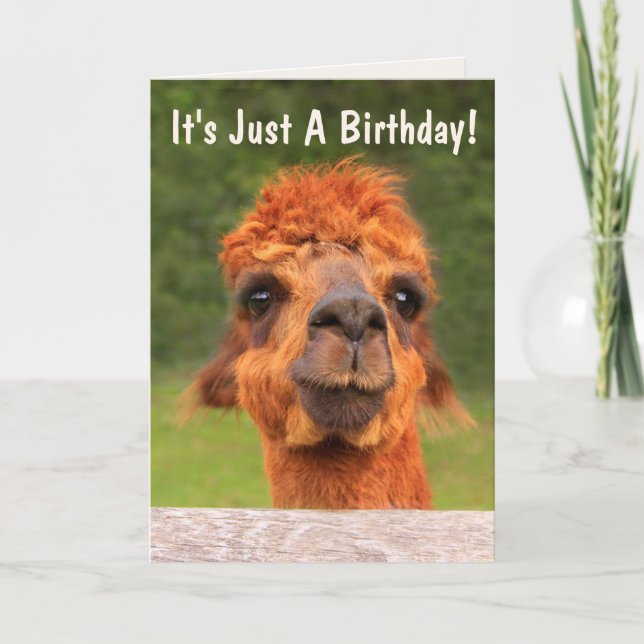 Carte Conseil sage de Llama drôle Anniversaire (Devant)