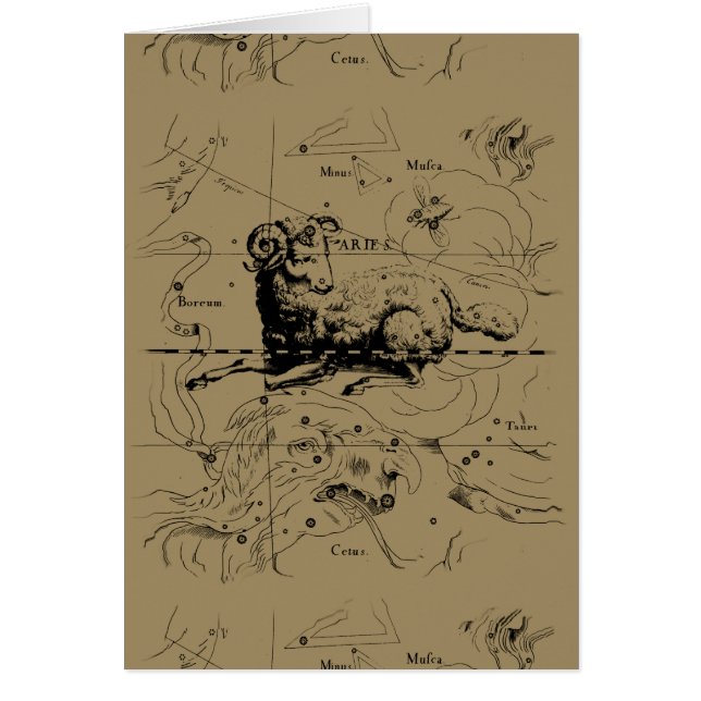 Carte Constellation Aries Hevelius 1690 (Devant)