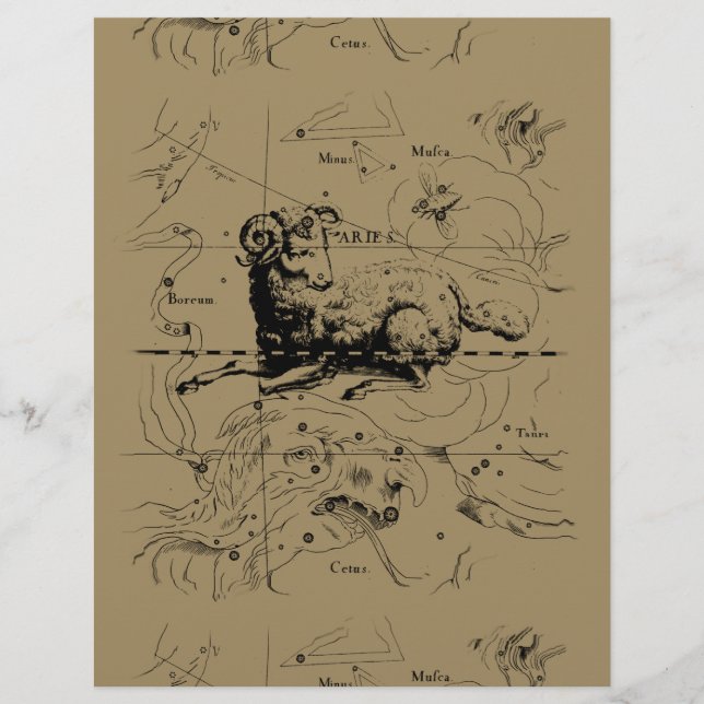 Carte Constellation Aries Hevelius 1690 (Devant)