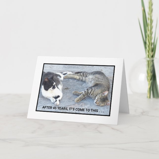 CARTE CONTENTEMENT ANNIVERSAIRE/DEUX CHATS DE SOMMEIL/ H (Devant)