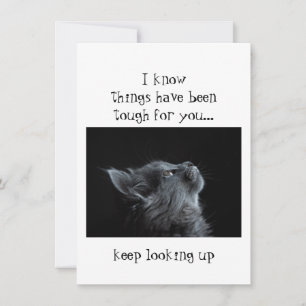 Carte Continuez à regarder vers Dieu Encouragement Chat 