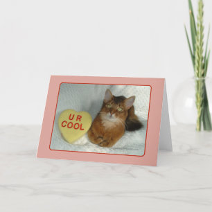 Carte Cool Valentine Kitty U R