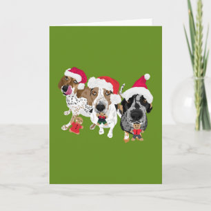 Carte Coonhounds