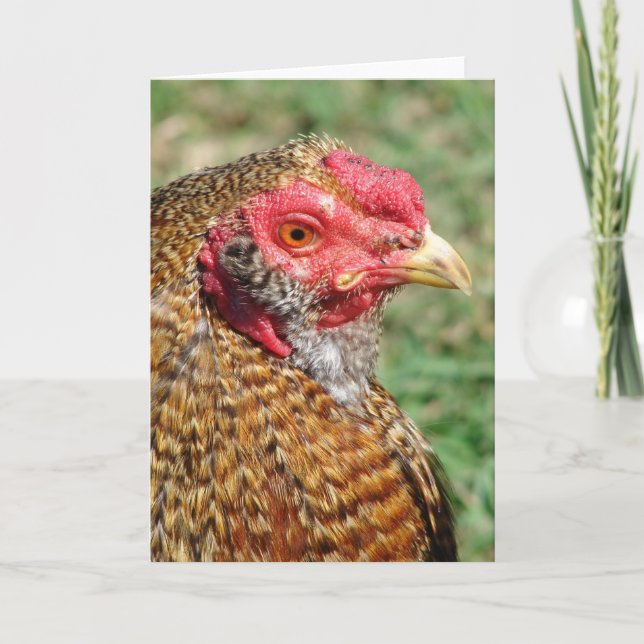 Carte Coq créole Toutes les occasions (Devant)