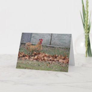Carte Coq, félicitations