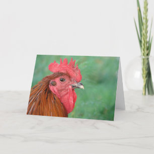 Carte Coq noir de maran en cuivre