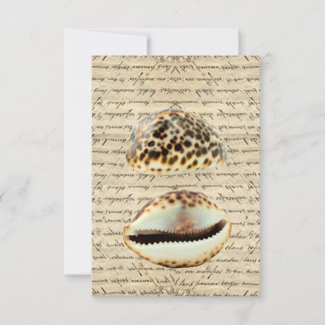 Carte Coques de cowrie (Devant)