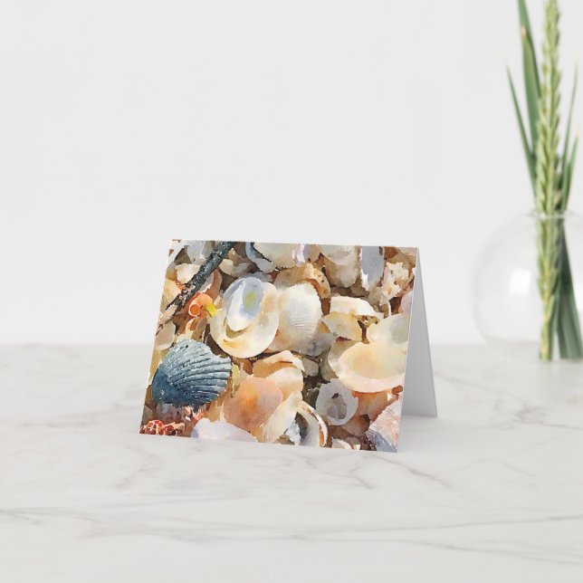 Carte Coques de mer et bois de chou sur sable de plage (Devant)