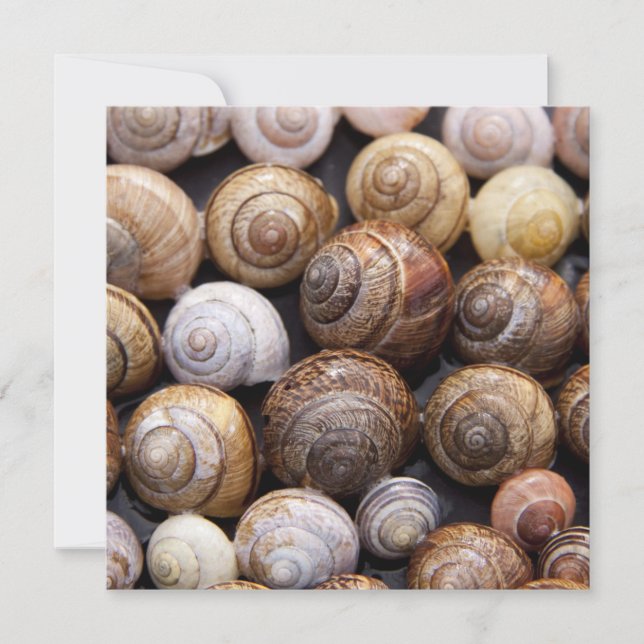 Carte Coques des escargots (Devant)