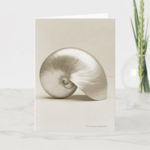 Carte Coquillage de Nautilus de perle