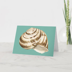 Carte Coquille striée Sepia sur Turquoise