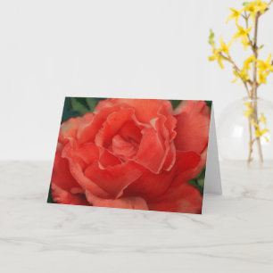 Carte Corail Orange Red Rose Art Note