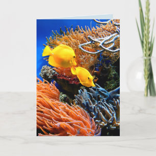Carte Corail sous-marin tropical