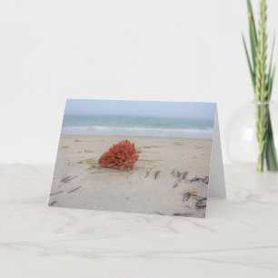 Carte Coral Note