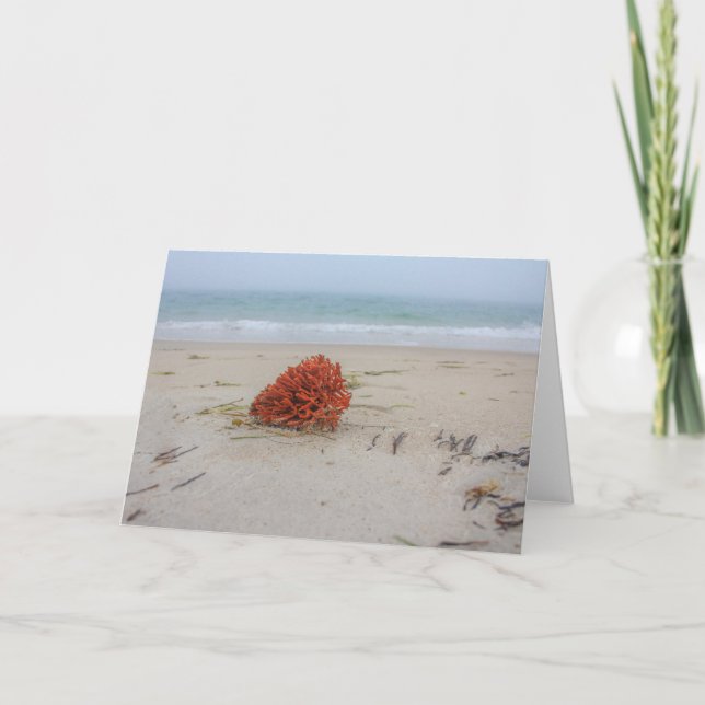 Carte Coral Note (Devant)