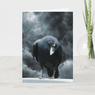 Carte Corbeau noir