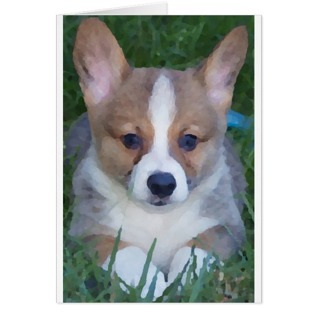 Carte Corgi (Devant)