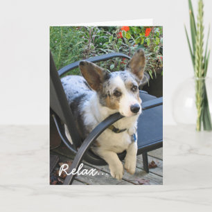 Carte Corgi birthday
