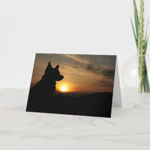 Carte Corgi blanc au coucher du soleil