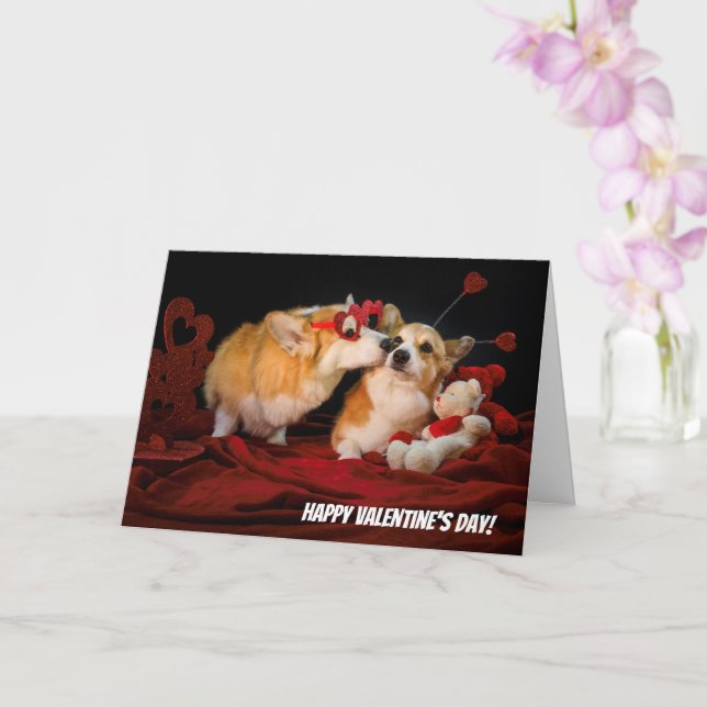 Carte Corgi couple Valentine card (Orchidée)