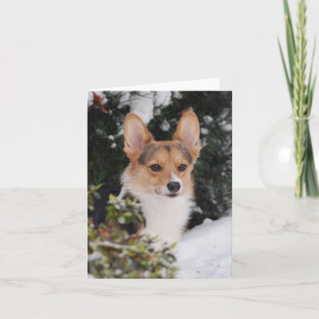 Carte Corgi dans la neige (Devant)