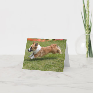 Carte Corgi de Gallois de cardigan de vol