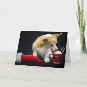 Carte Corgi de Noël Manger de la crème