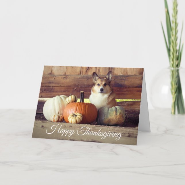 Carte Corgi de Thanksgiving (Devant)