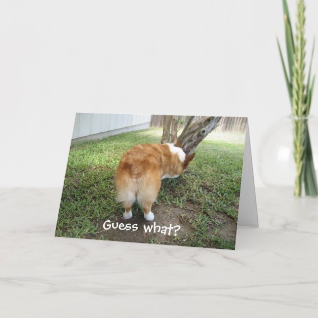 Carte Corgi drôle (Devant)