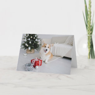 Carte Corgi Pembroke Salutation de Noël des Amoureux de 