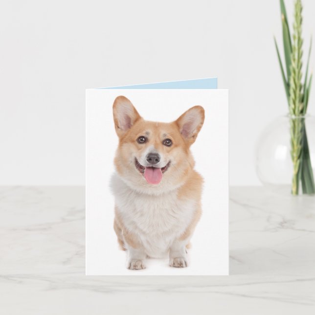 Carte Corgi (Pembroke Welsh) (Devant)