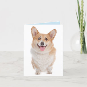 Carte Corgi (Pembroke Welsh)