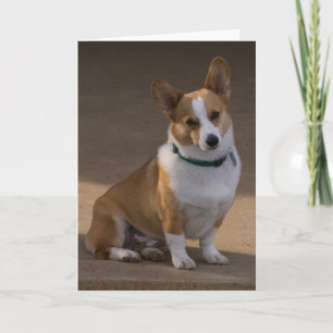 Carte Corgi Portrait