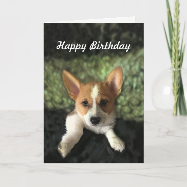 Carte Corgi Puppy Joyeux anniversaire (Devant)