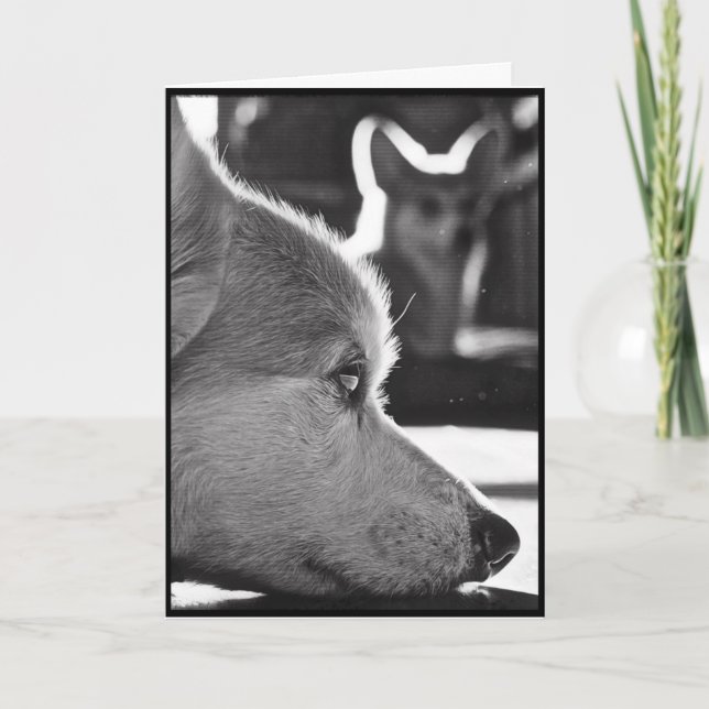 Carte Corgi vous manquant (Devant)