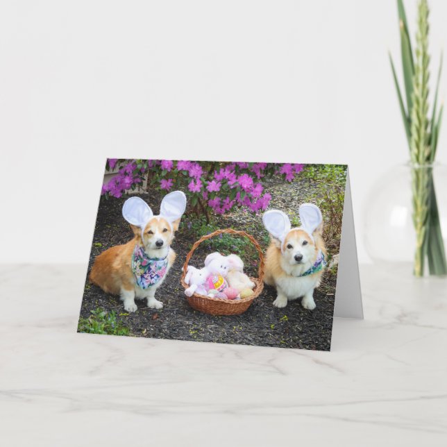 Carte Corgis du lapin de Pâques saluant (Devant)