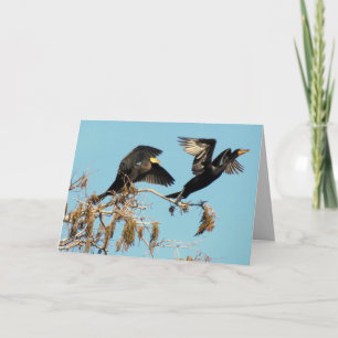 Carte Cormorans à deux mâts prennent l'avion (2537)