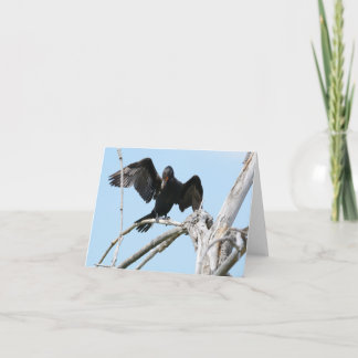 Carte Cormorant using wings